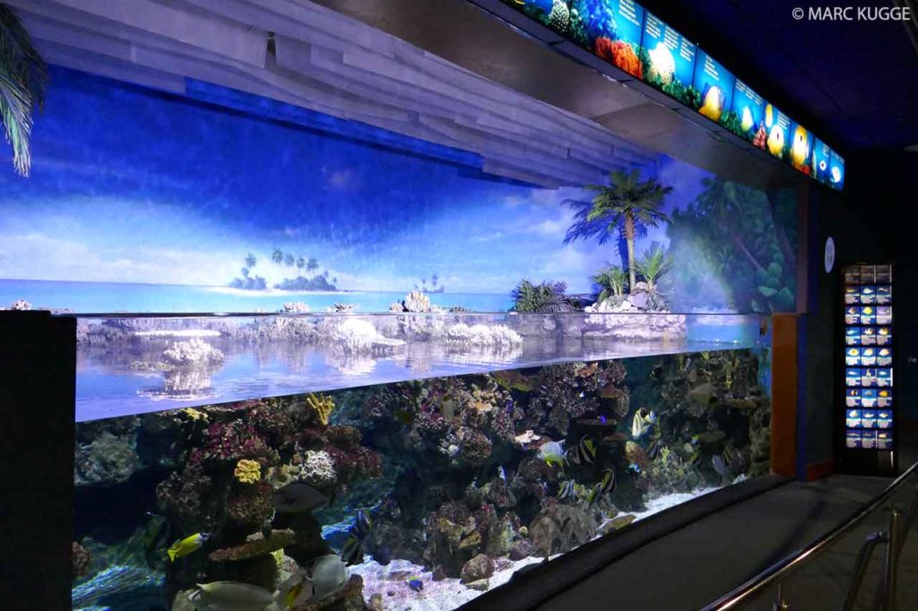 Aquarium Barcelona - Eintritt kostenlos