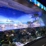 Aquarium_Barcelona_05