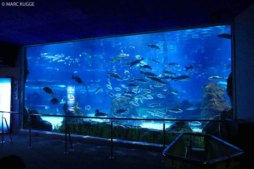 Aquarium Barcelona: Preise, Eintritt, Öffnungszeiten & Infos
