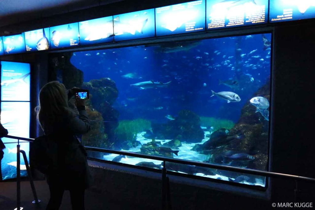 Aquarium Barcelona: Preise, Eintritt, Öffnungszeiten & Infos