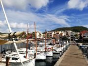 Ausflug von Barcelona nach Palma de Mallorca: Alle Tipps und Infos