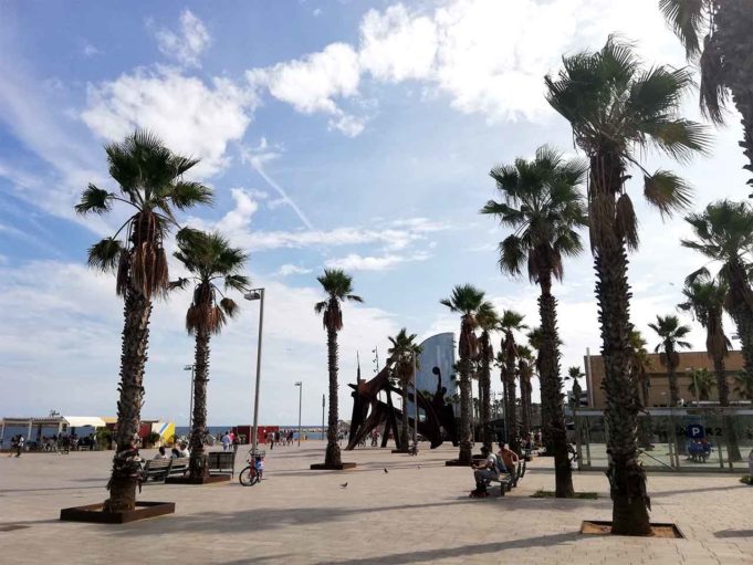 Interessante Orte in Barcelona: 20 Tipps für eure Reise