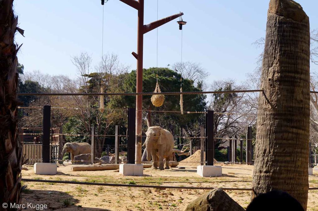Der Zoo in Barcelona