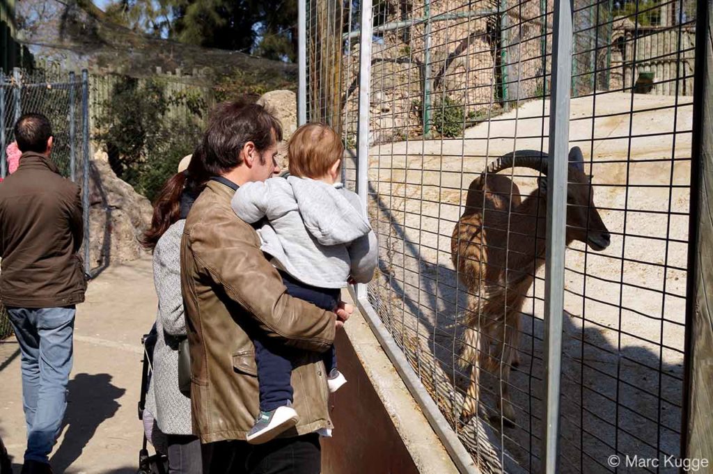 Zoo in Barcelona