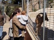 Der Zoo in Barcelona: Infos, Tickets, Eintritt & Öffnungszeiten