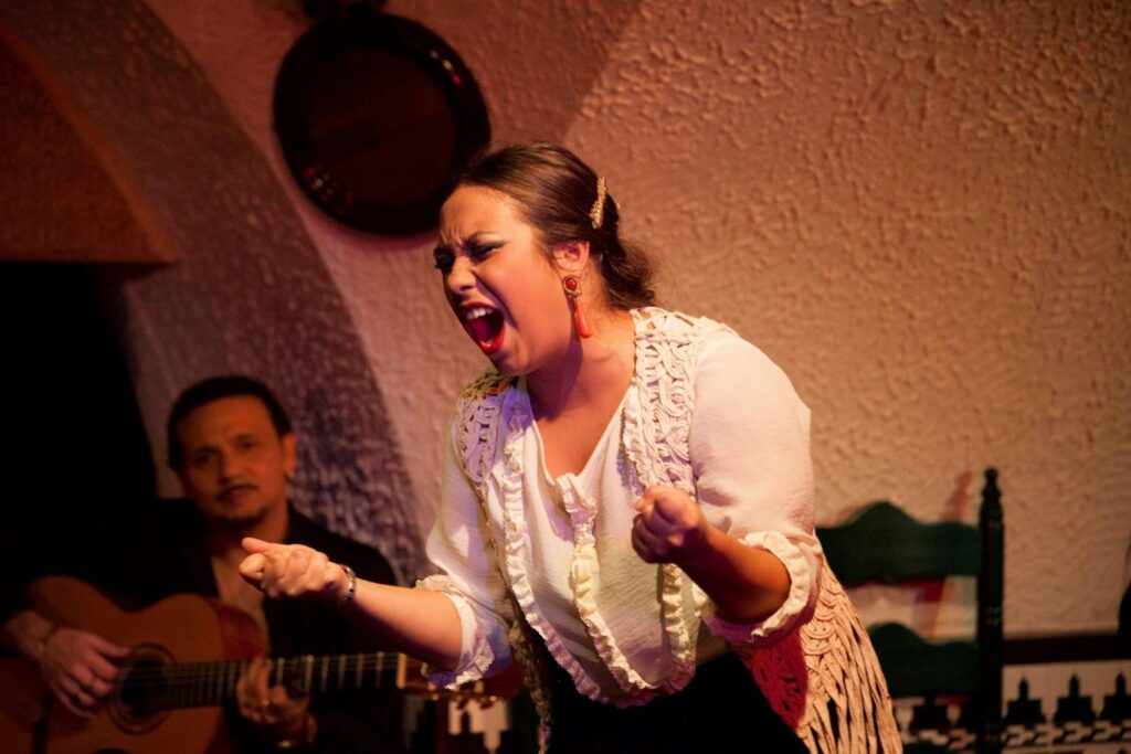 Die Magie einer Live-Flamenco-Show