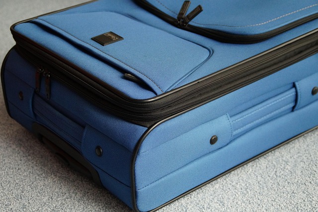 efraimstochter-suitcase-356735_640